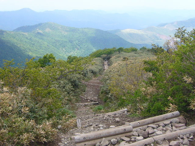 d0075131_191725100.jpg