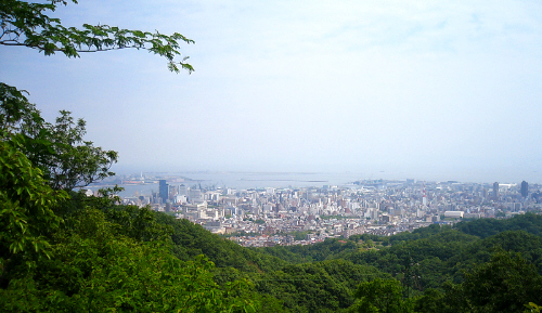 山間から神戸の町並みの一部が見えています。緑の木々の間から見える町並みは、その色のコントラストで一層綺麗です。