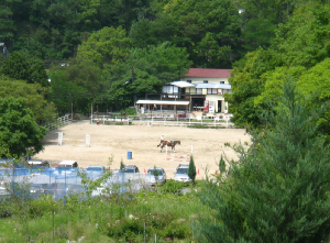 別な方向から下側を見下ろすと、乗馬サークルが望めます。馬がこれから始まるレッスンに備えてか、準備態勢を整えているようです。