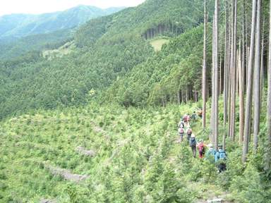 c0077338_2029386.jpg