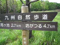 e0110940_22215090.jpg