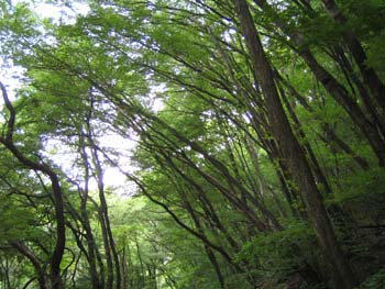 e0110940_2222653.jpg