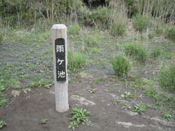 e0110940_22444711.jpg