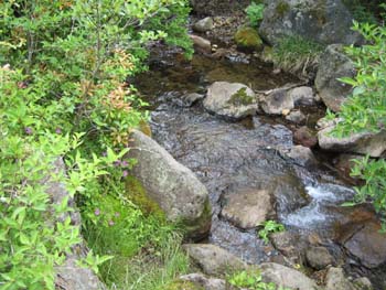 e0110940_22465034.jpg