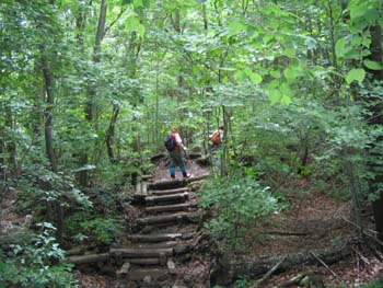 e0110940_2328222.jpg