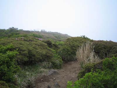 e0110940_23504879.jpg