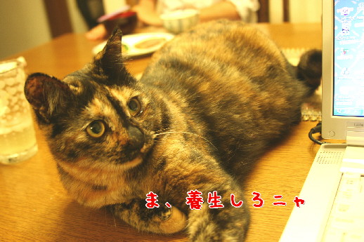 d0013149_091614.jpg