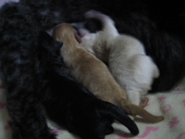 d0044249_0203350.jpg