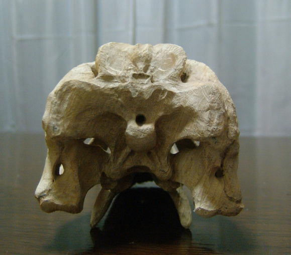 e0064457_54153.jpg