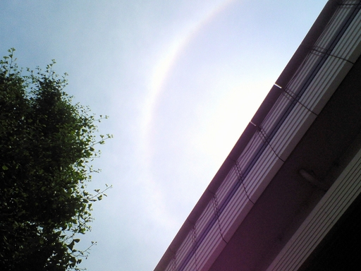 e0106760_16145884.jpg