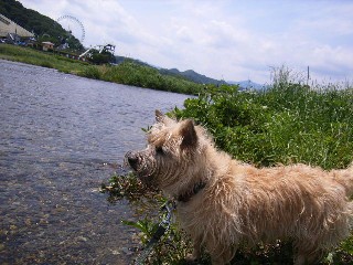 e0030663_20231964.jpg