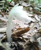 e0120466_22193215.jpg