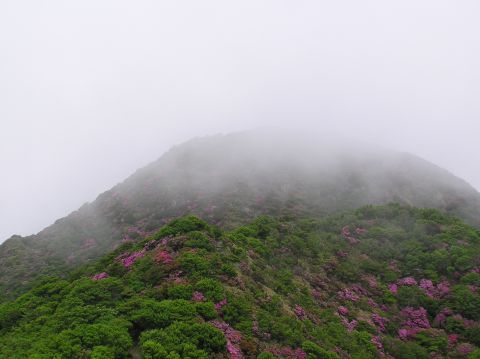c0042869_20342042.jpg