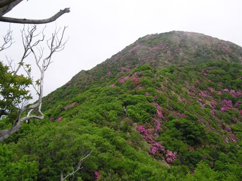 c0042869_20513214.jpg