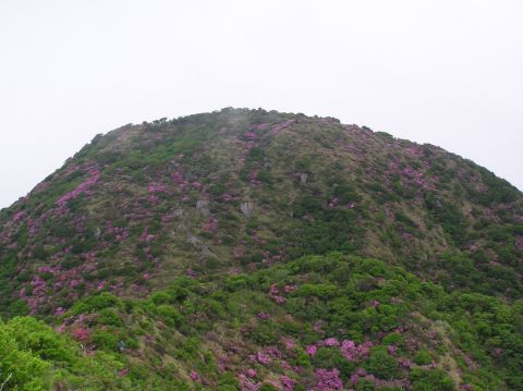 c0042869_20515486.jpg