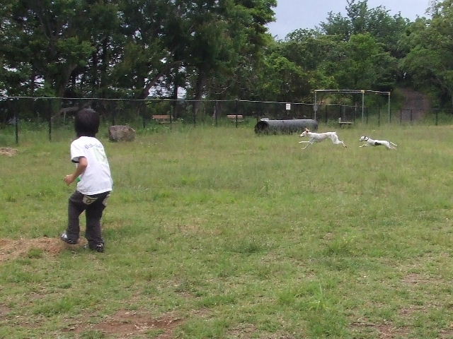 e0003270_10262898.jpg