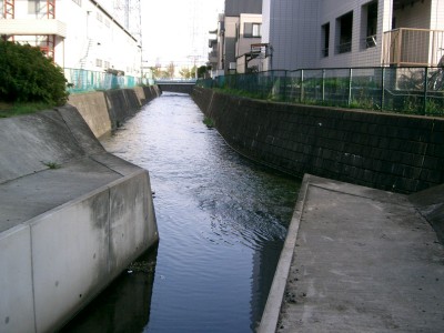 c0112172_3572564.jpg