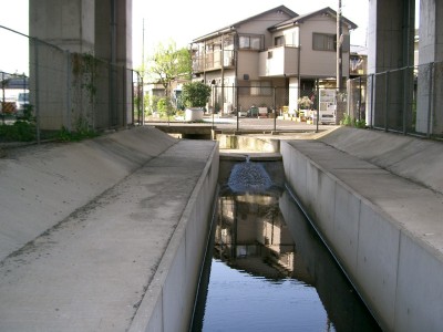 c0112172_3573352.jpg