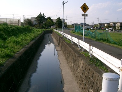 c0112172_3574166.jpg