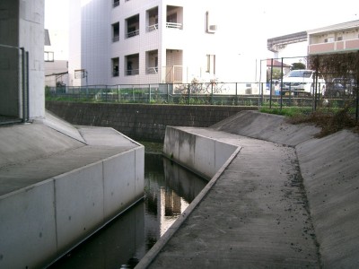 c0112172_357725.jpg