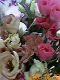d0109373_22542213.jpg