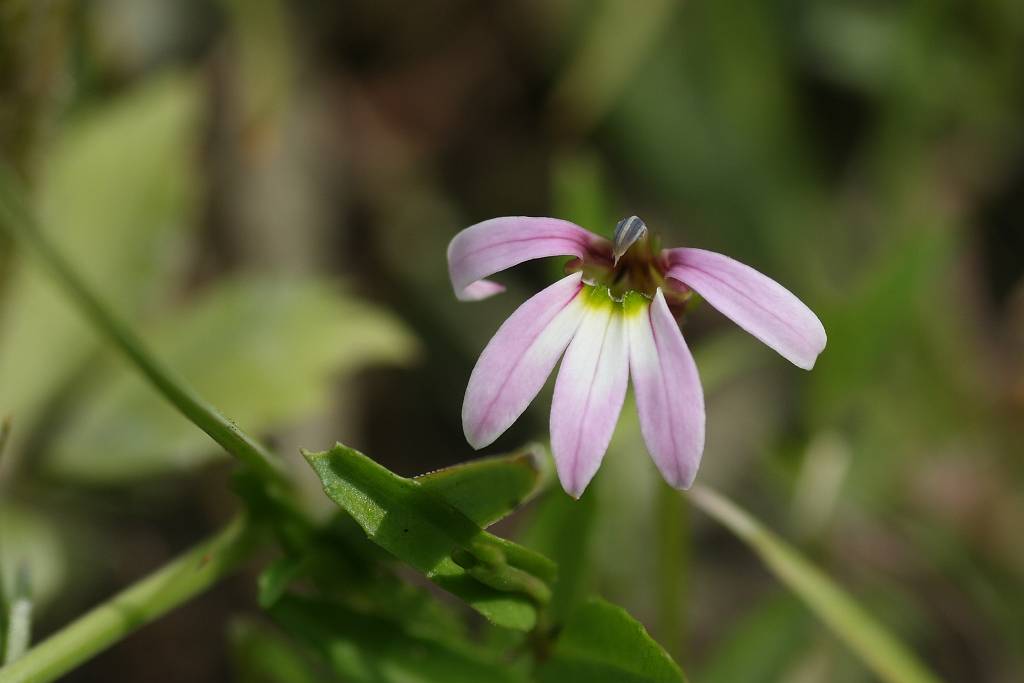 e0003177_9111422.jpg