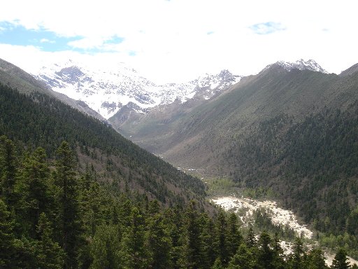d0088682_22383791.jpg