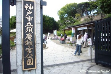 f0091282_030329.jpg