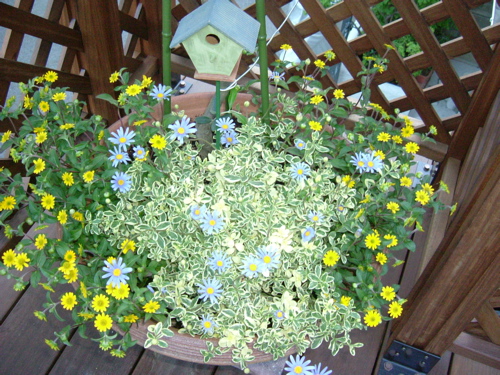 e0030587_1851499.jpg