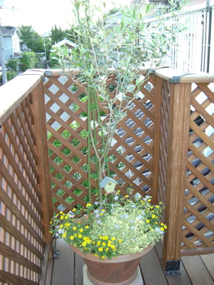 e0030587_1852736.jpg