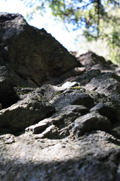 b0109289_915222.jpg