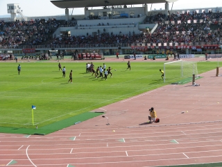 f0020302_21302972.jpg