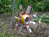 e0119003_22154459.jpg