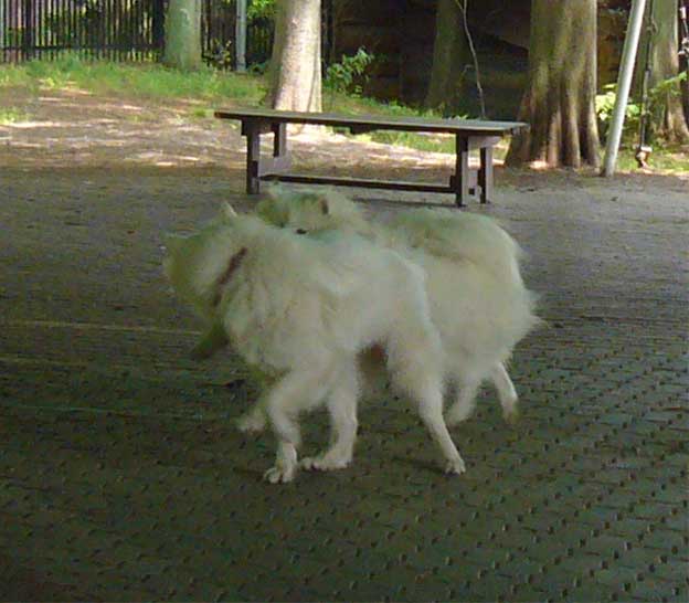 e0018604_6573642.jpg