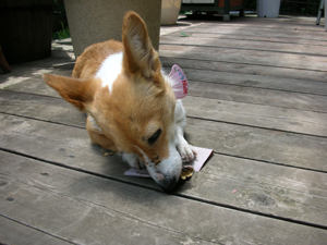 d0104705_20415625.jpg