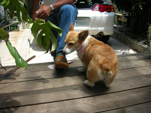 d0104705_20454794.jpg