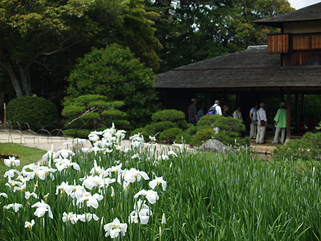 a0041508_23454771.jpg