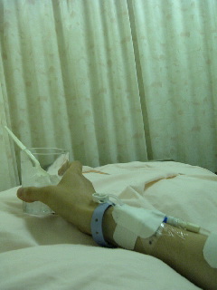 a0042313_7581753.jpg