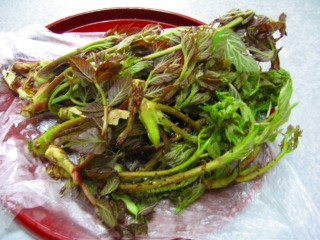 e0033013_054025.jpg