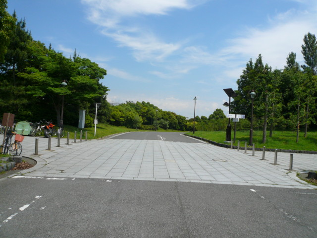 a0077616_19384030.jpg