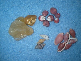 c0120316_22334828.jpg