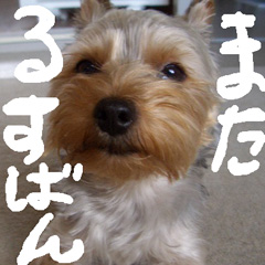 c0036617_2054776.jpg