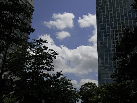 e0063317_10464127.jpg