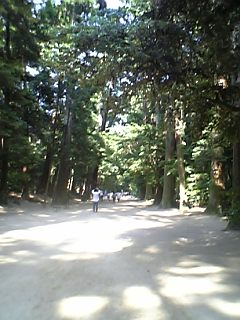 e0019320_1647780.jpg