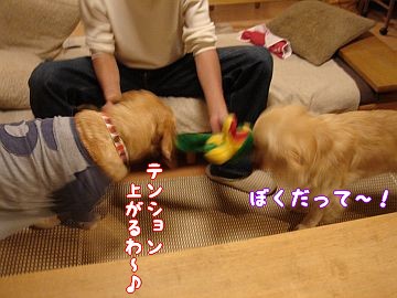 c0087521_15193385.jpg