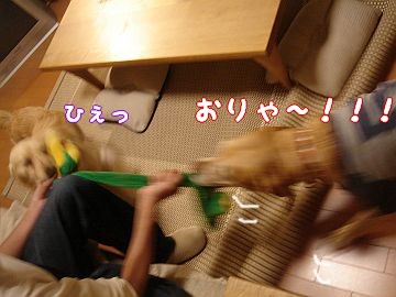 c0087521_15201313.jpg
