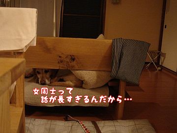 c0087521_15222722.jpg