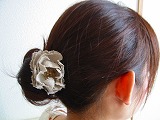 c0094621_1042084.jpg