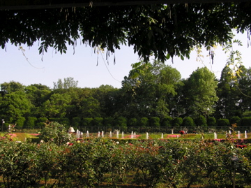 f0128723_1611262.jpg