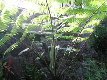 f0128723_1621324.jpg